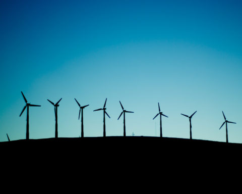 Molinos de Viento